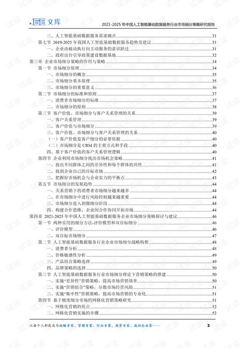2021-2025年中國人工智能基礎數(shù)據(jù)服務與行業(yè)應用系統(tǒng)集成服務市場細分策略研究報告